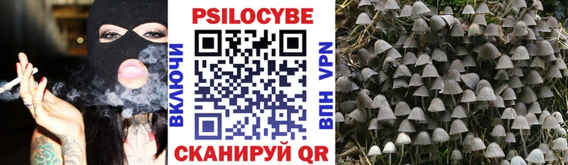Галлюциногенные грибы Cubensis  сколько стоит  МЕГА сайт  Ртищево 